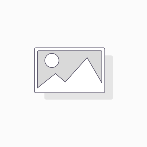 SERVICIO HOSTING BASICO